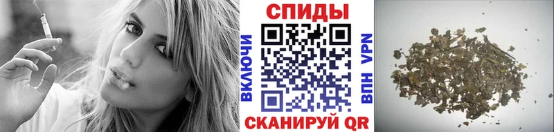 купить  сайты  Карачаевск  БУТИРАТ буратино 
