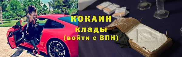 амф Касимов