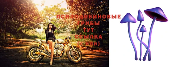 мет Карпинск