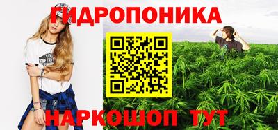 сатива Комсомольск-на-Амуре