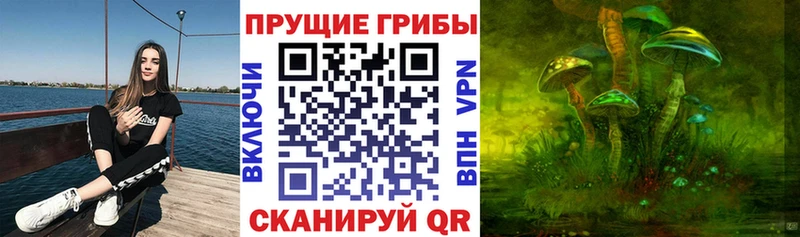 гидра ссылки сколько стоит Карачаевск Псилоцибиновые грибы MAGIC MUSHROOMS