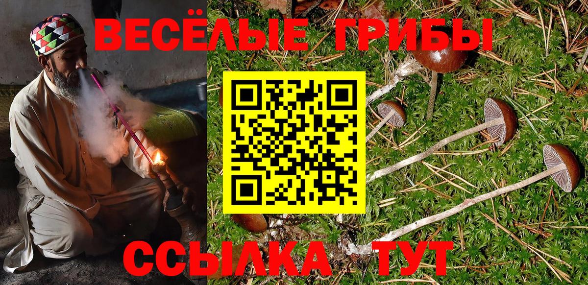 Псилоцибиновые грибы прущие грибы Карачаевск