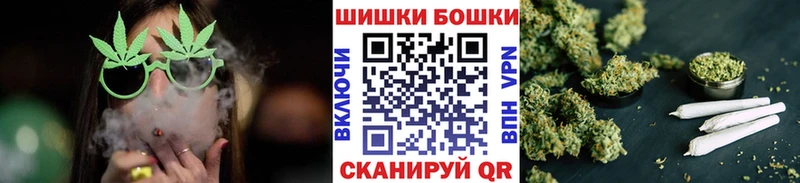 Бошки марихуана семена  купить  сайты  Карачаевск 